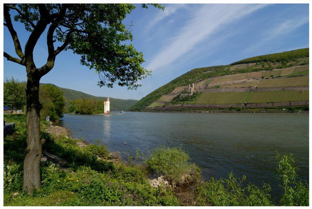 Hotel Cafe Post Rüdesheim am Rhein Eksteriør billede